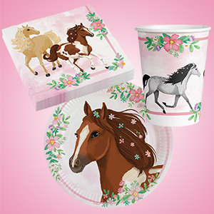 Geburtstagspaket Pferde Tolli-Park